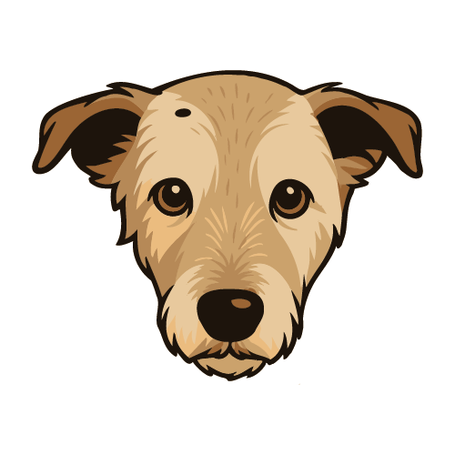 Cougar Bowl Apparel's Boomer