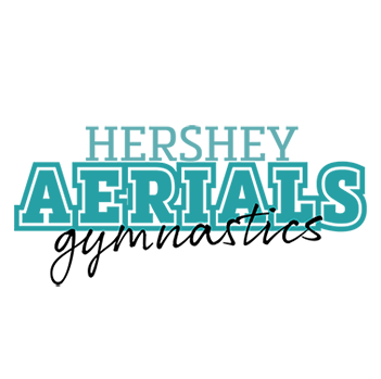 Hershey Aerials Gymnastics